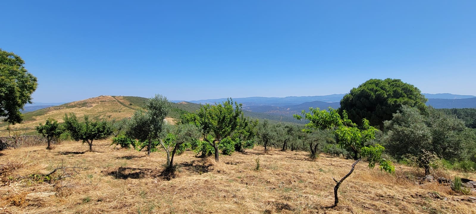 2 bedroom Finca/Country House for sale in Trujillo with garage - € 375,000 (Ref: 9126292)