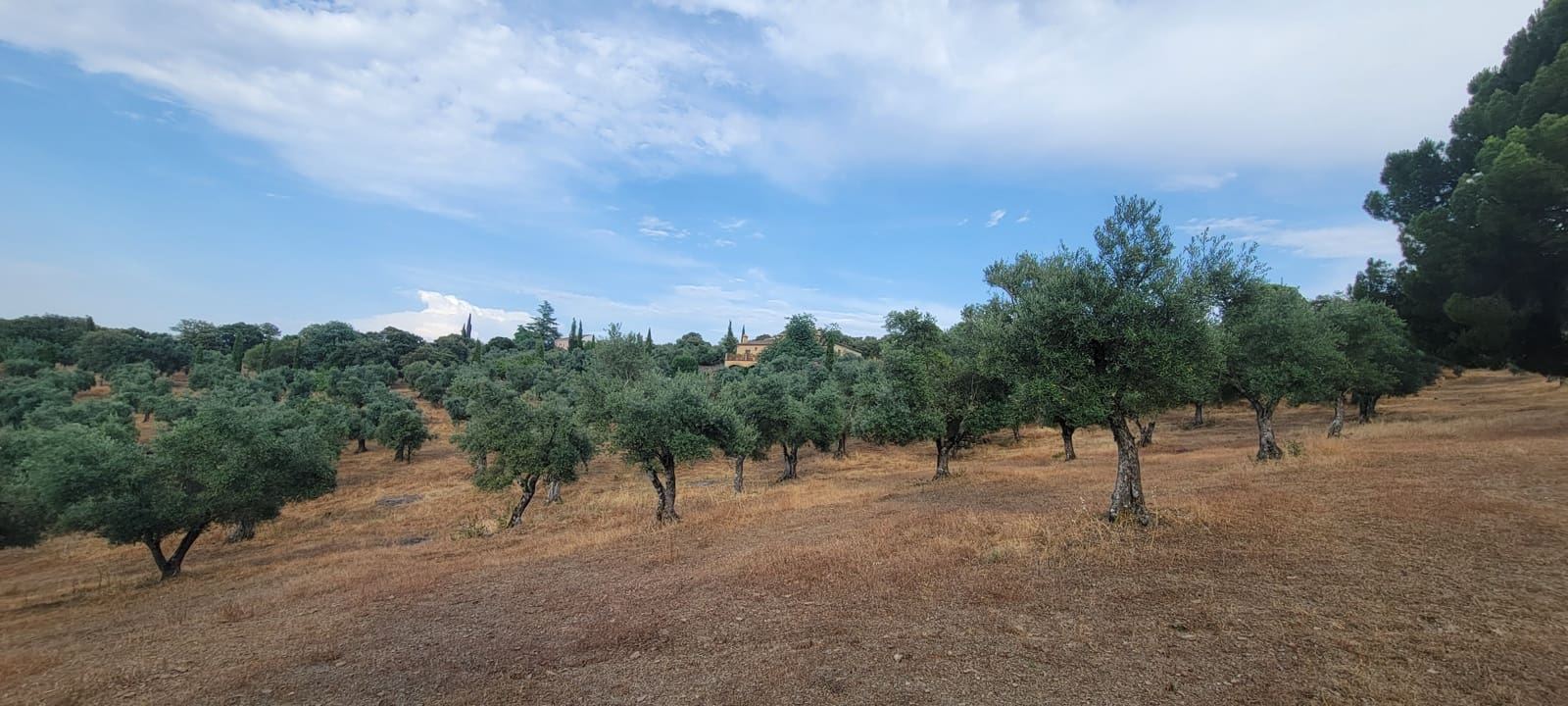 6 bedroom Finca/Country House for holiday rental in Madronera with pool garage - € 1,740 (Ref: 9126418)