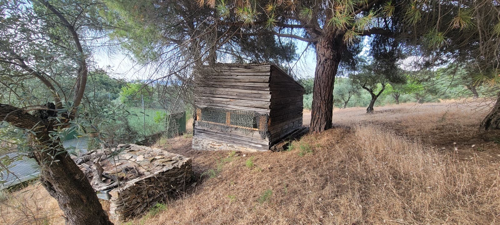 6 bedroom Finca/Country House for holiday rental in Madronera with pool garage - € 1,740 (Ref: 9126418)