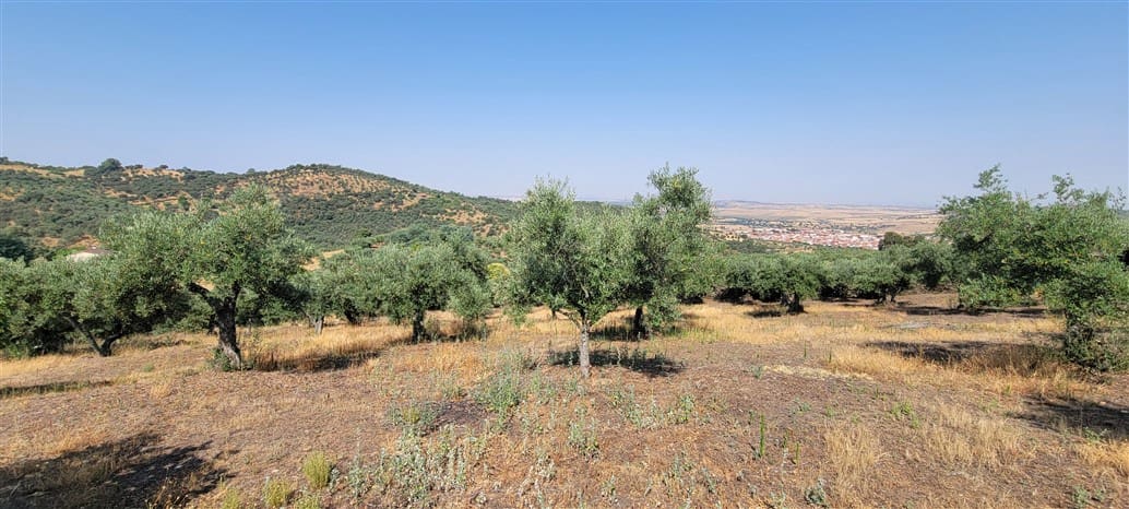 3 soveværelse Finca/Landehus til salg i Trujillo med swimmingpool - € 349.800 (Ref: 9143680)