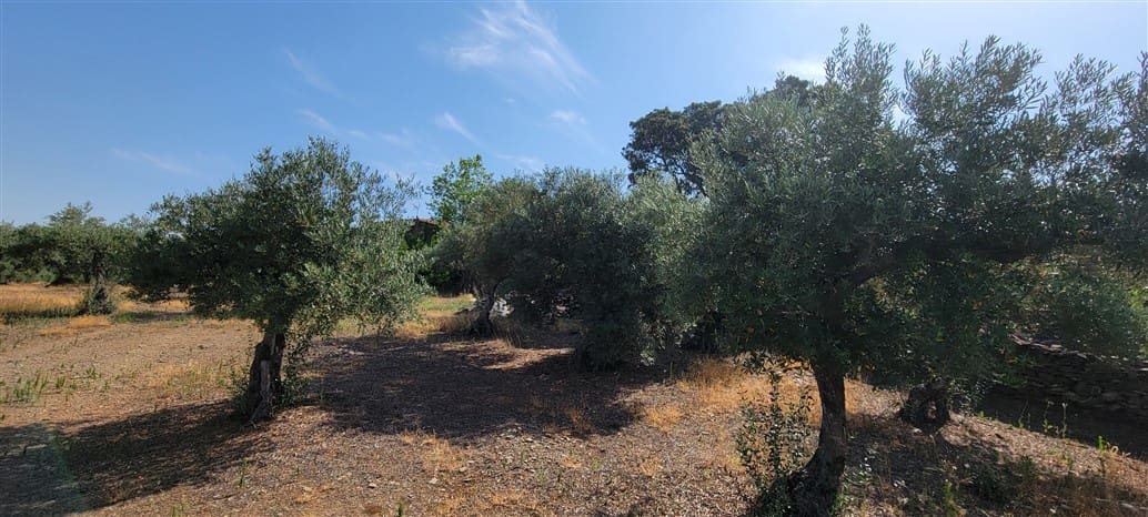 3 soveværelse Finca/Landehus til salg i Trujillo med swimmingpool - € 349.800 (Ref: 9143680)