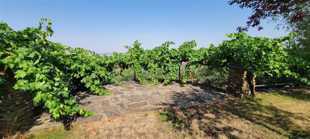 3 soveværelse Finca/Landehus til salg i Trujillo med swimmingpool - € 349.800 (Ref: 9143680)