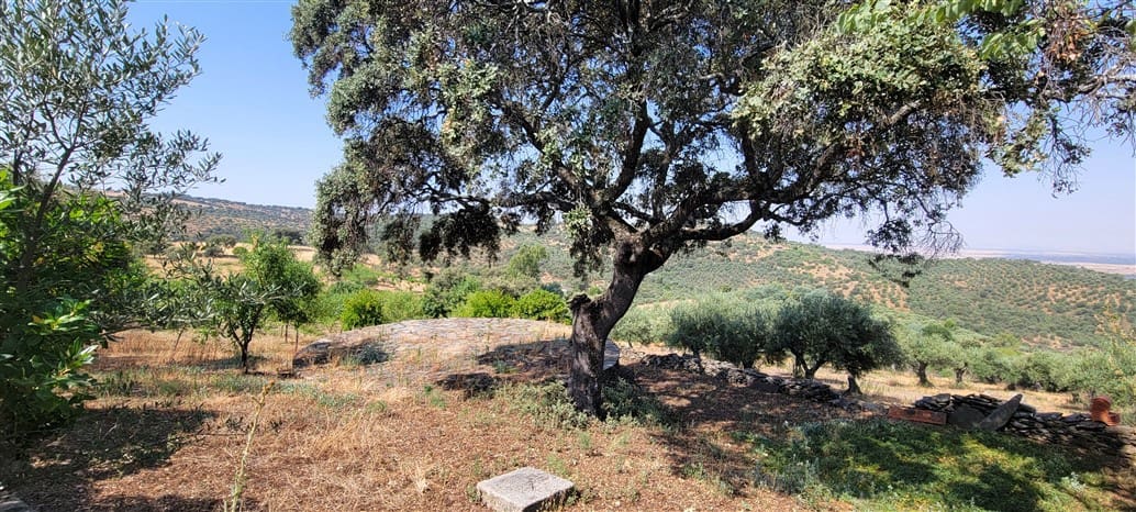 3 soveværelse Finca/Landehus til salg i Trujillo med swimmingpool - € 349.800 (Ref: 9143680)