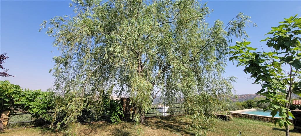 3 soveværelse Finca/Landehus til salg i Trujillo med swimmingpool - € 349.800 (Ref: 9143680)