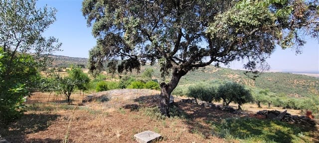 3 chambre Finca/Maison de Campagne à vendre à Trujillo avec piscine - 349 800 € (Ref: 9143680)