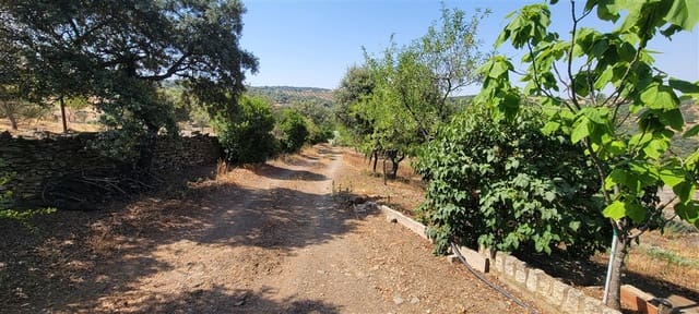 3 chambre Finca/Maison de Campagne à vendre à Trujillo avec piscine - 349 800 € (Ref: 9143680)