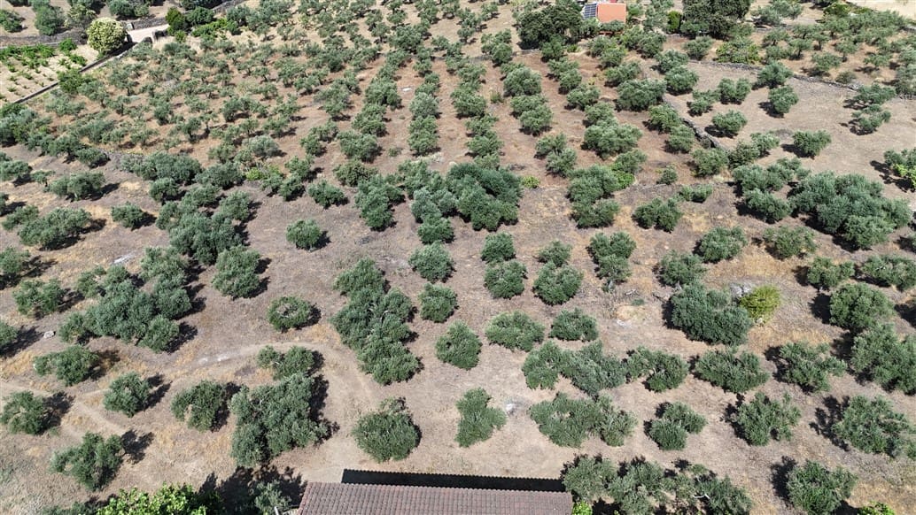 3 soveværelse Finca/Landehus til salg i Trujillo med swimmingpool - € 349.800 (Ref: 9143680)