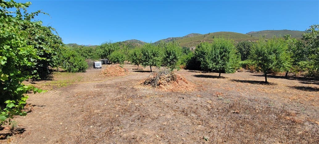 8 soveværelse Finca/Landehus til salg i Guadalupe med swimmingpool garage - € 228.950 (Ref: 9146273)