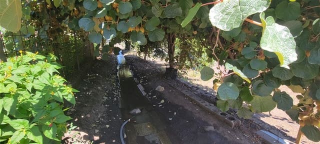 8 chambre Finca/Maison de Campagne à vendre à Guadalupe avec piscine garage - 228 950 € (Ref: 9146273)