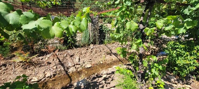 8 chambre Finca/Maison de Campagne à vendre à Guadalupe avec piscine garage - 228 950 € (Ref: 9146273)