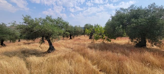 Finca/Country House for sale in Cáceres city - € 59,000 (Ref: 9160511)