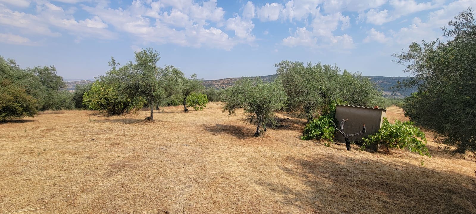 Finca/Landehus til salg i Caceres by - € 59.000 (Ref: 9160511)