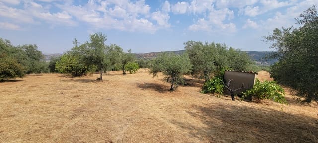 Finca/Country House for sale in Cáceres city - € 59,000 (Ref: 9160511)