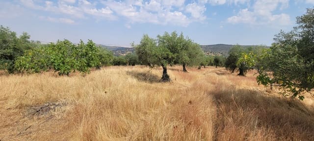 Finca/Country House for sale in Cáceres city - € 59,000 (Ref: 9160511)