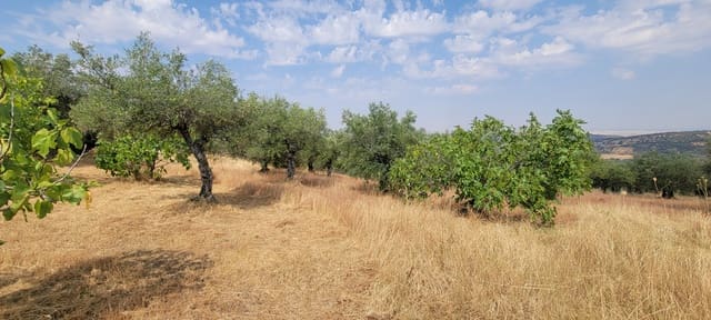 Finca/Country House for sale in Cáceres city - € 59,000 (Ref: 9160511)