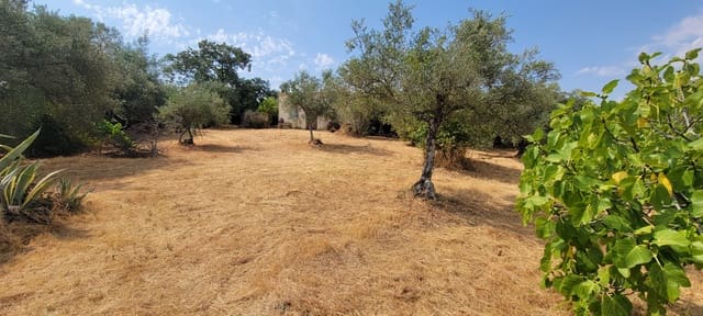 Finca/Country House for sale in Cáceres city - € 59,000 (Ref: 9160511)