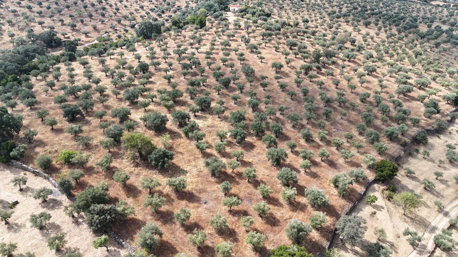 Finca/Landehus til salg i Caceres by - € 59.000 (Ref: 9160511)