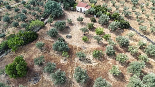 Finca/Landehus til salg i Cáceres by - € 59.000 (Ref: 9160511)