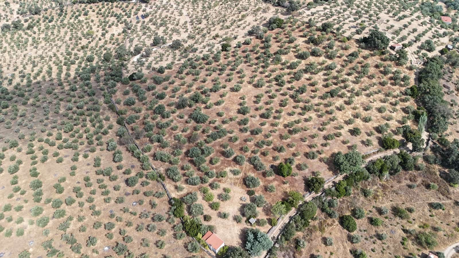 Finca/Landehus til salg i Caceres by - € 59.000 (Ref: 9160511)