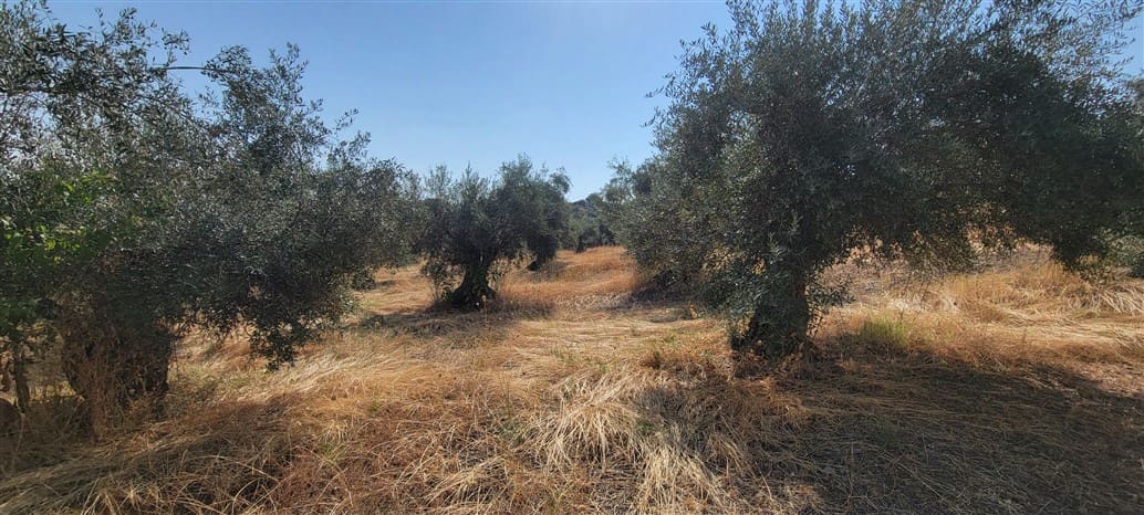 Villa til salgs i Trujillo med svømmebasseng garasje - € 850 000 (Ref: 9177590)