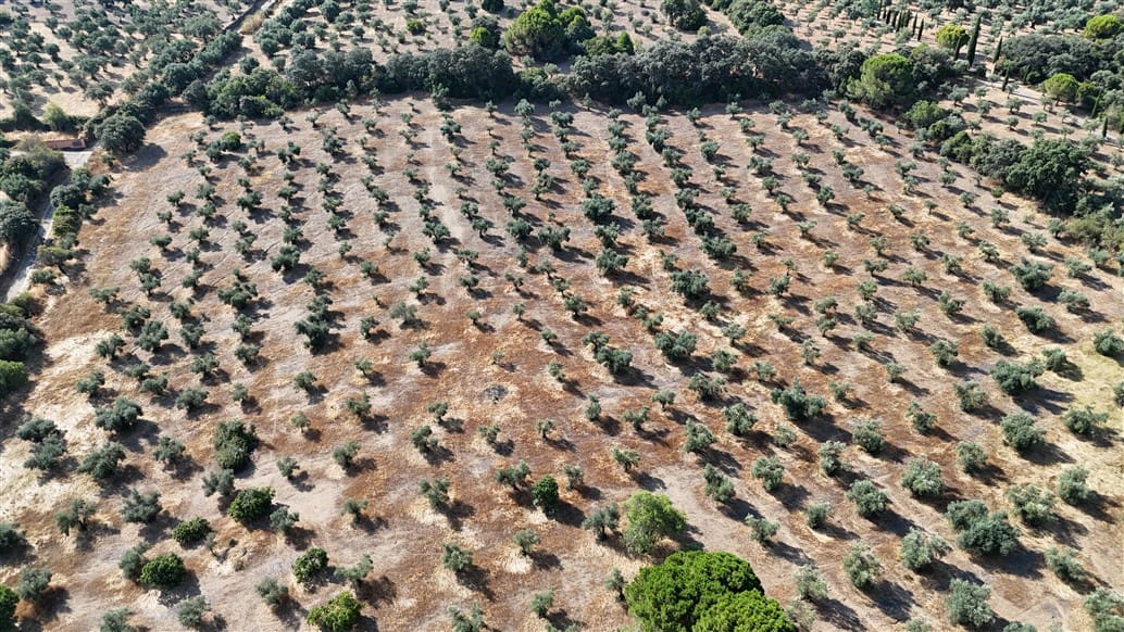 Villa til salgs i Trujillo med svømmebasseng garasje - € 850 000 (Ref: 9177590)