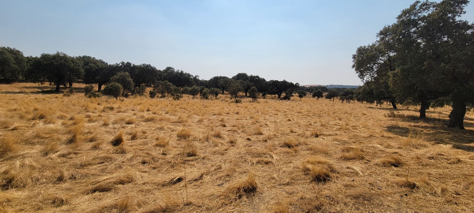 3 soveværelse Finca/Landehus til salg i Trujillo - € 319.000 (Ref: 9189473)