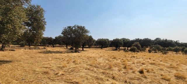 3 bedroom Finca/Country House for sale in Trujillo - € 319,000 (Ref: 9189473)