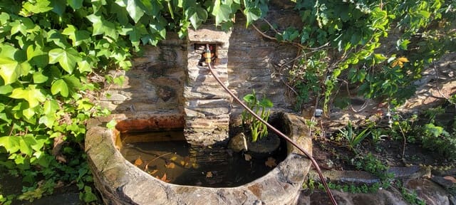 4 bedroom Finca/Country House for sale in Trujillo - € 215,000 (Ref: 9203389)