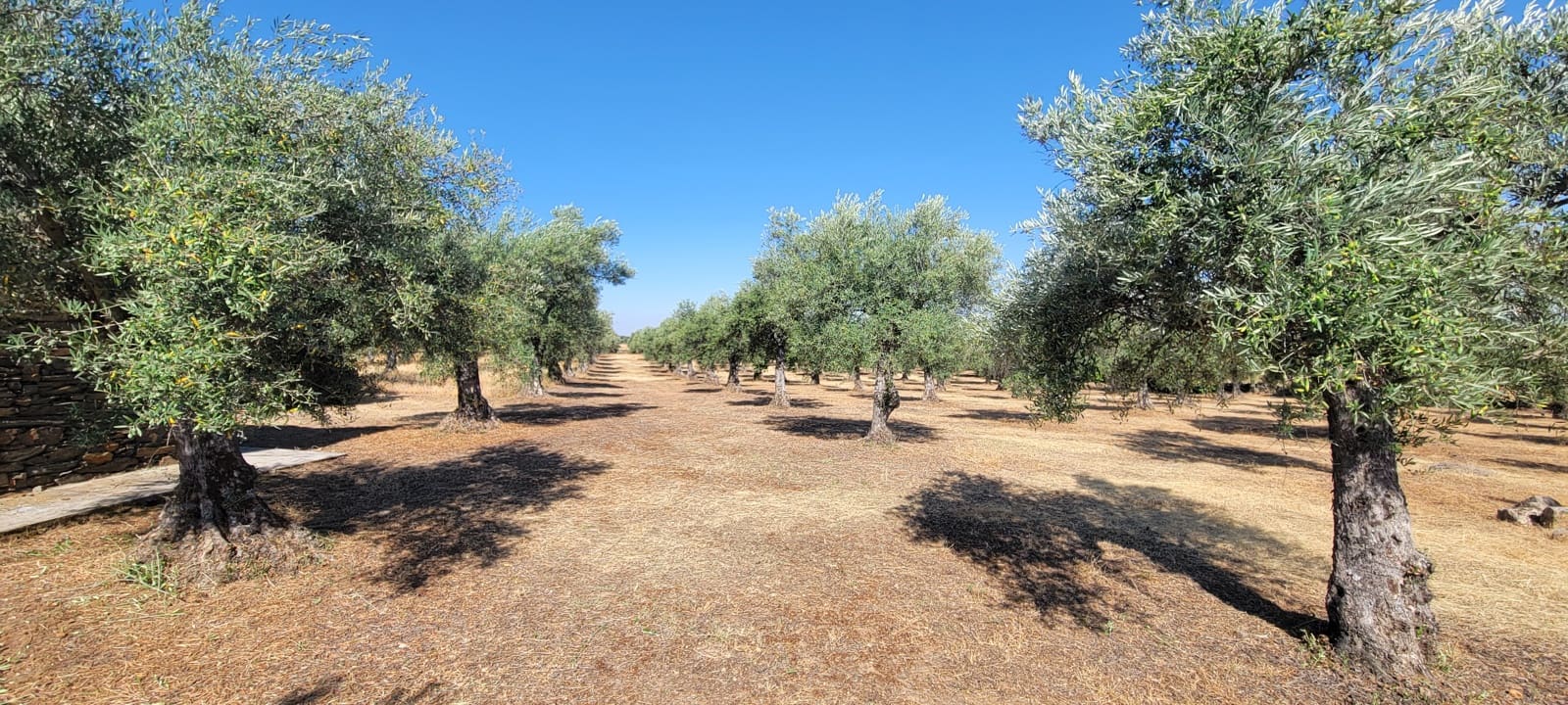 Finca/Herregård til salgs i Trujillo - € 165 000 (Ref: 9345650)