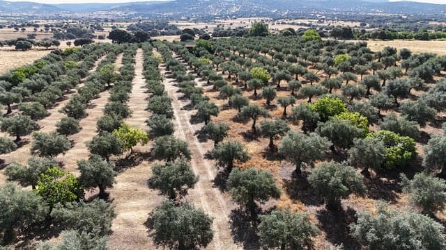 Finca/Landehus til salg i Trujillo - € 165.000 (Ref: 9345650)