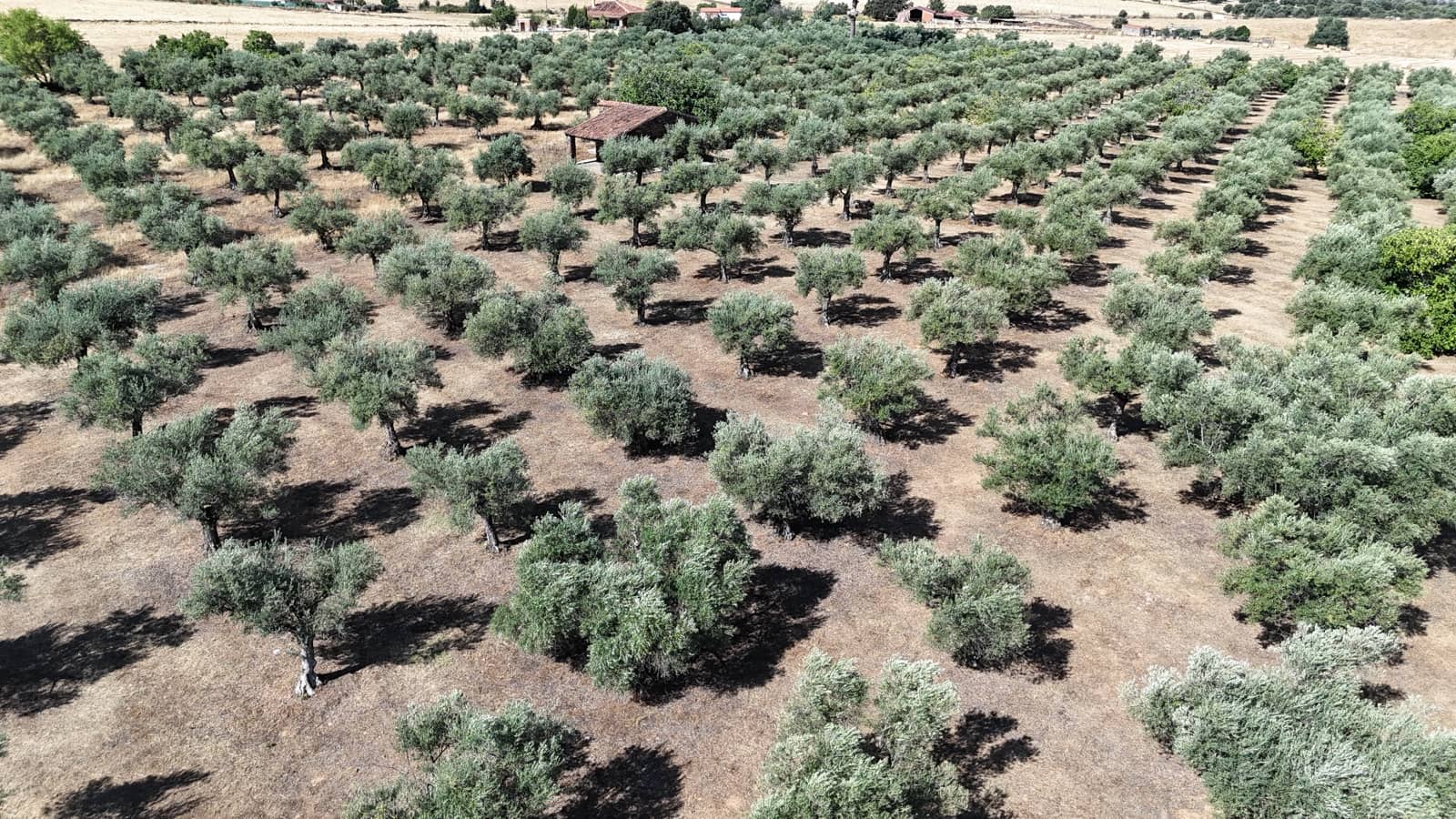 Finca/Herregård til salgs i Trujillo - € 165 000 (Ref: 9345650)