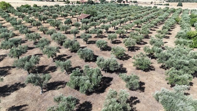 Finca/Landehus til salg i Trujillo - € 165.000 (Ref: 9345650)