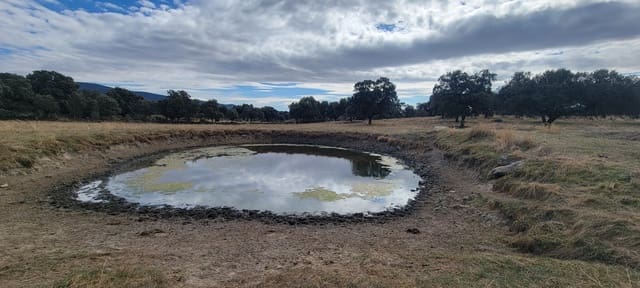 Finca/Landehus til salg i Trujillo - € 99.000 (Ref: 9366785)