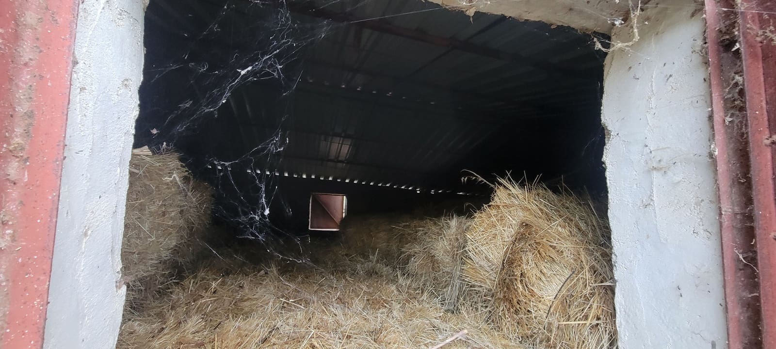 Finca/Landehus til salg i Trujillo med garage - € 69.000 (Ref: 9366788)