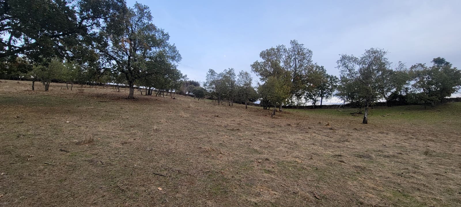 Finca/Landehus til salg i Trujillo med garage - € 69.000 (Ref: 9366788)