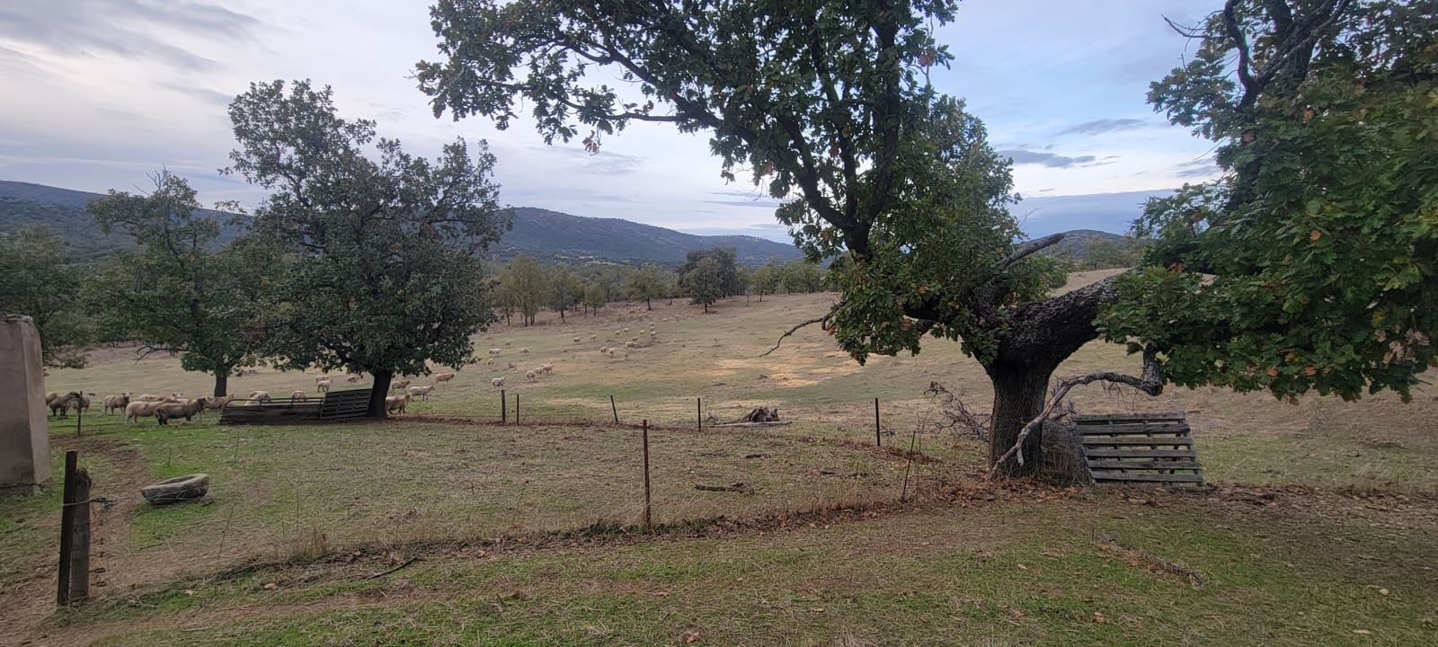 Finca/Landehus til salg i Trujillo med garage - € 69.000 (Ref: 9366788)