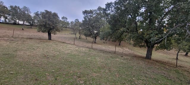 Finca/Landehus til salg i Trujillo med garage - € 69.000 (Ref: 9366788)