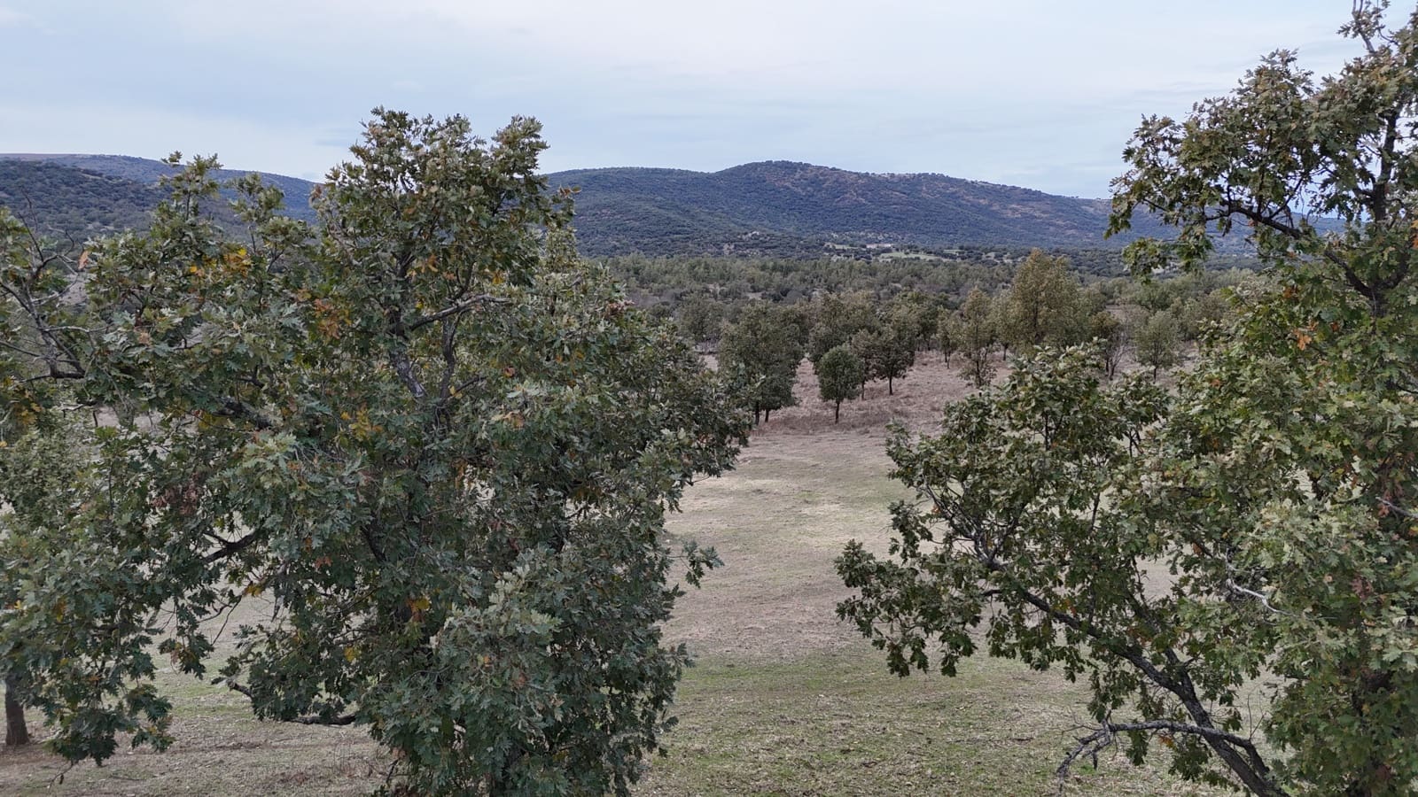 Finca/Landehus til salg i Trujillo med garage - € 69.000 (Ref: 9366788)