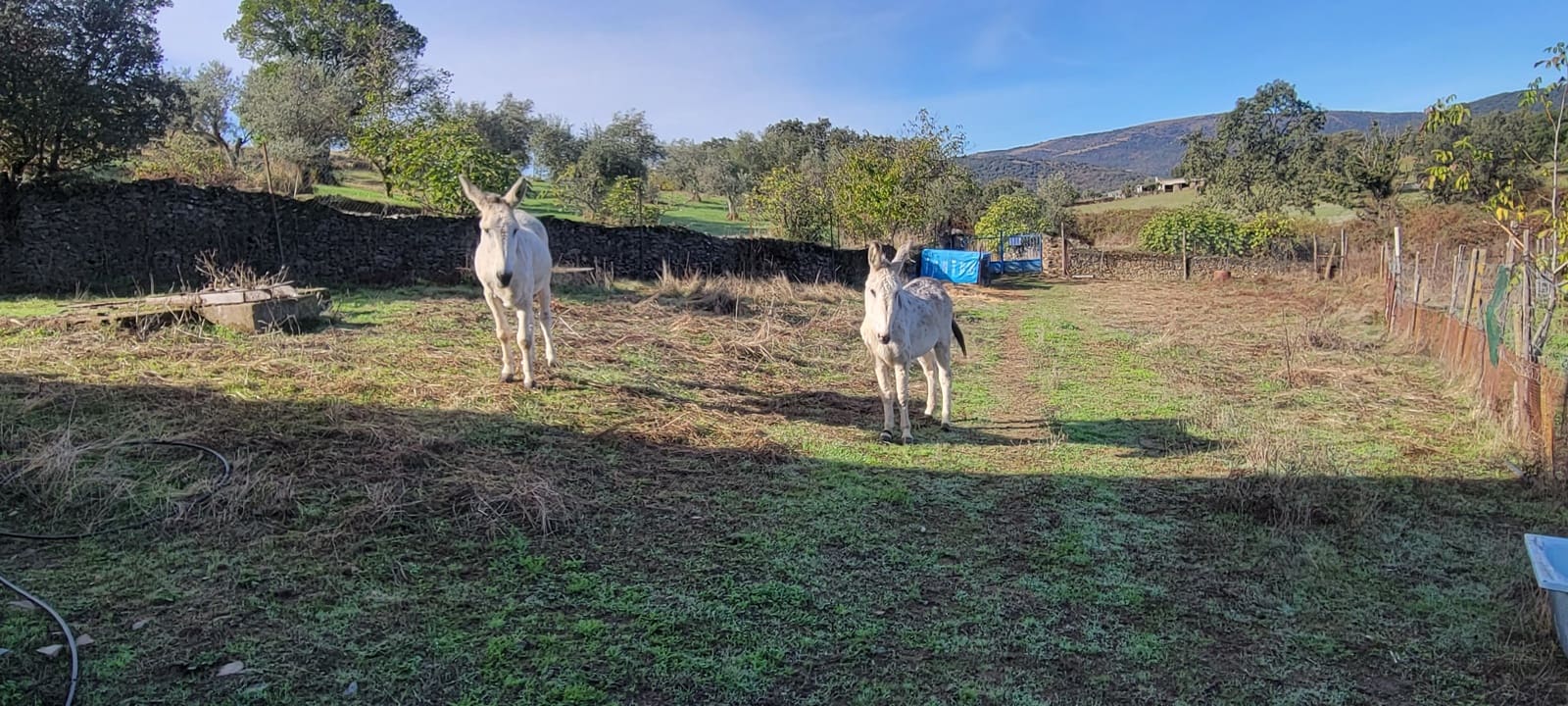 Terreno Non Edificato in vendita in Trujillo - 29.000 € (Rif: 9371659)