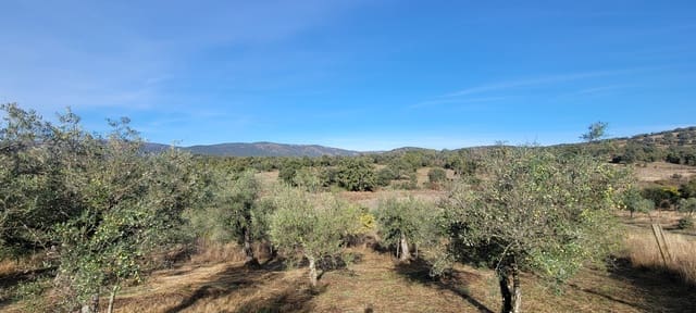 Undeveloped Land for sale in Trujillo - € 29,000 (Ref: 9371659)