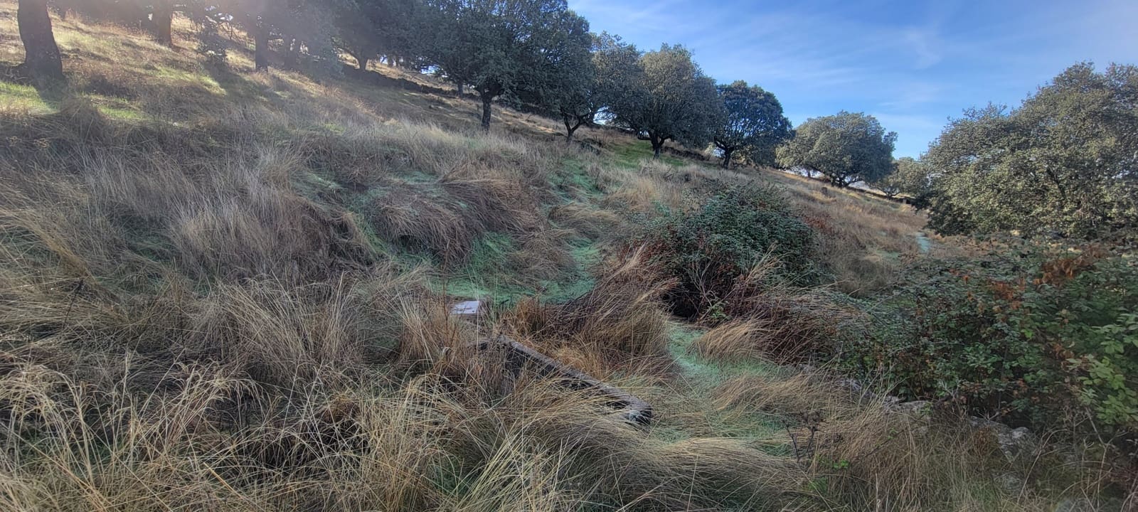 Terreno Non Edificato in vendita in Trujillo - 29.000 € (Rif: 9371659)