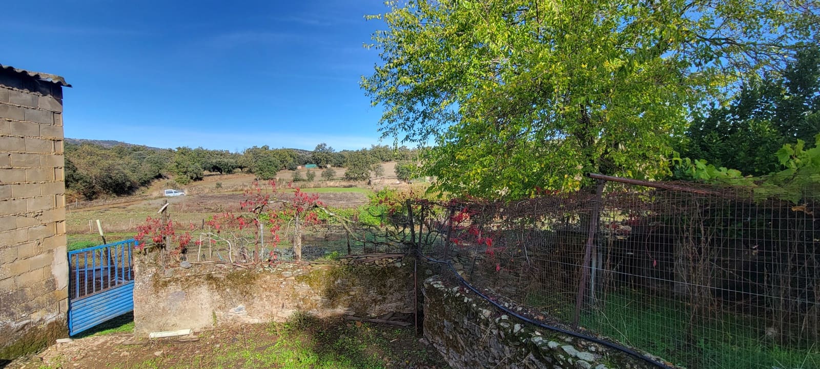 Terreno Non Edificato in vendita in Trujillo - 29.000 € (Rif: 9371659)