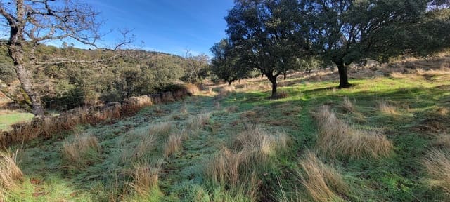 Undeveloped Land for sale in Trujillo - € 29,000 (Ref: 9371659)