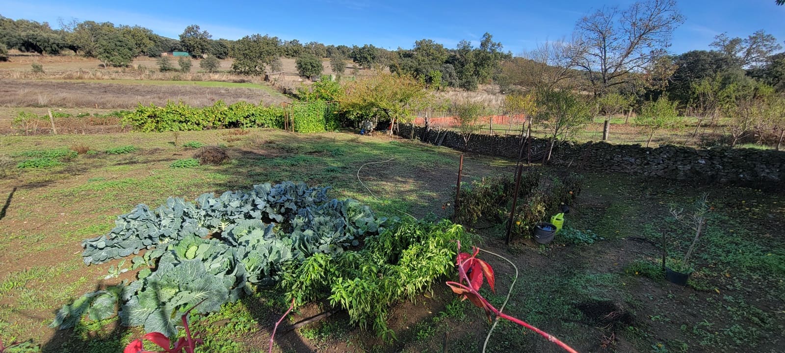 Terreno Non Edificato in vendita in Trujillo - 29.000 € (Rif: 9371659)