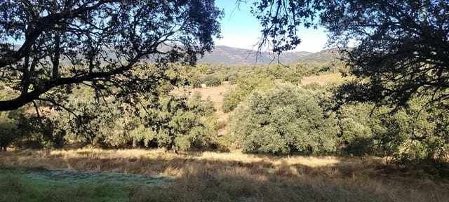 Undeveloped Land for sale in Trujillo - € 29,000 (Ref: 9371659)