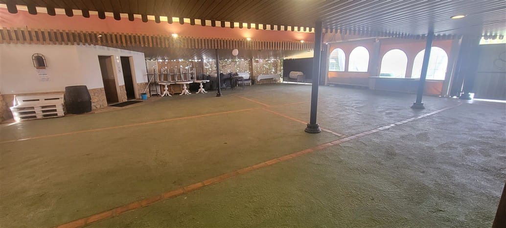 20 soverom Bedrift til salgs i Miajadas med garasje - € 1 600 000 (Ref: 9393586)