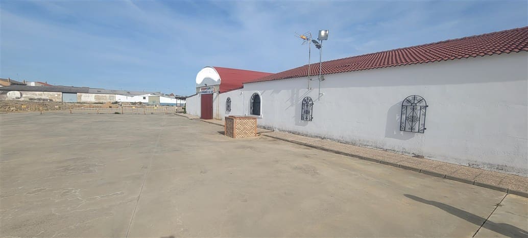 20 soverom Bedrift til salgs i Miajadas med garasje - € 1 600 000 (Ref: 9393586)