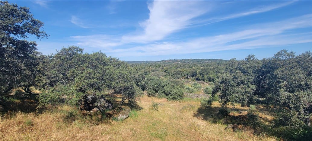 5 makuuhuone Maalaistalo myytävänä paikassa Montanchez mukana uima-altaan 
autotalli - 690 000 € (Ref: 9807047)