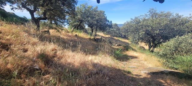 5 slaapkamer Finca/Landhuis te koop in Montánchez met zwembad garage - € 690.000 (Ref: 9807047)