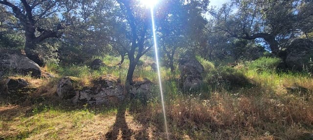 5 slaapkamer Finca/Landhuis te koop in Montánchez met zwembad garage - € 690.000 (Ref: 9807047)